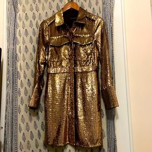 Banana Republic Ulla Sequin Dress